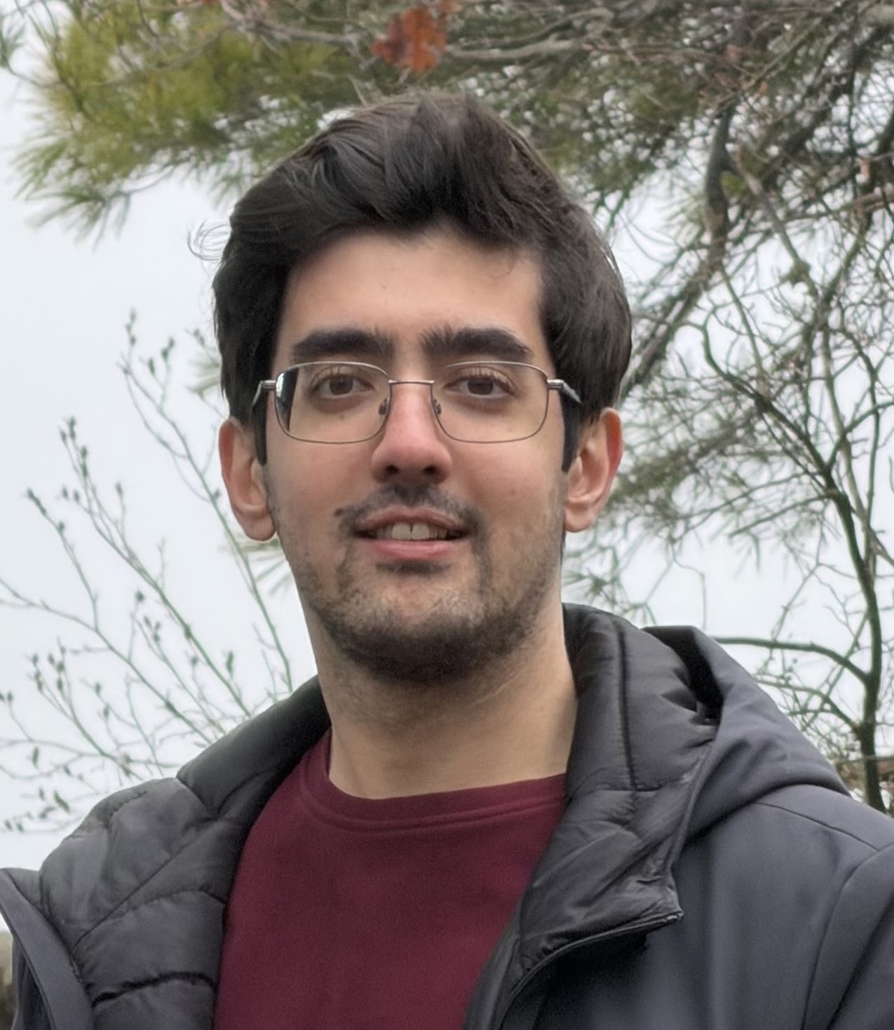 Sina Barazandeh portrait
