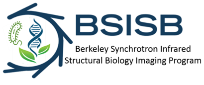 Berkeley Synchrotron Infrared Structural Biology Imaging Program